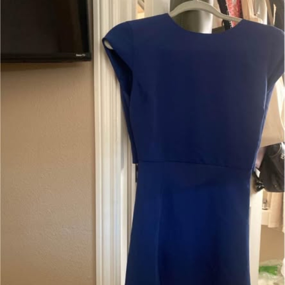 babaton hamptoms dress size 4
